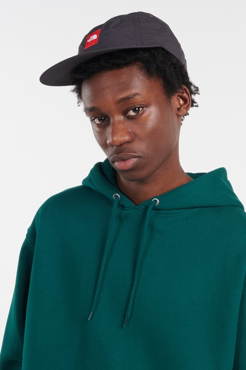 THE NORTH FACE Casquette Gris