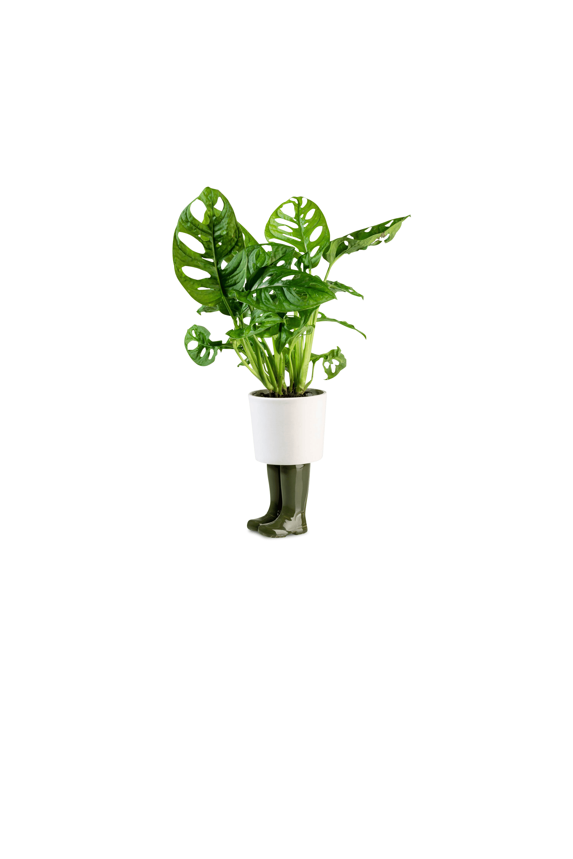 Cache-pot  | Vert BITTEN Homme