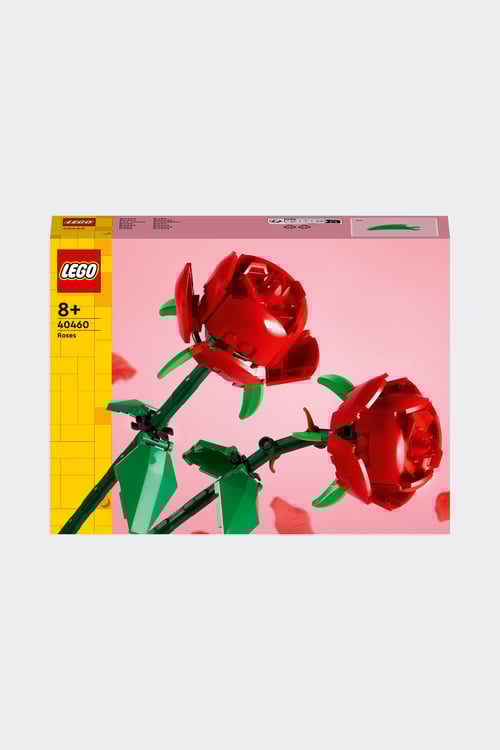 LEGO Jeu Multicolore