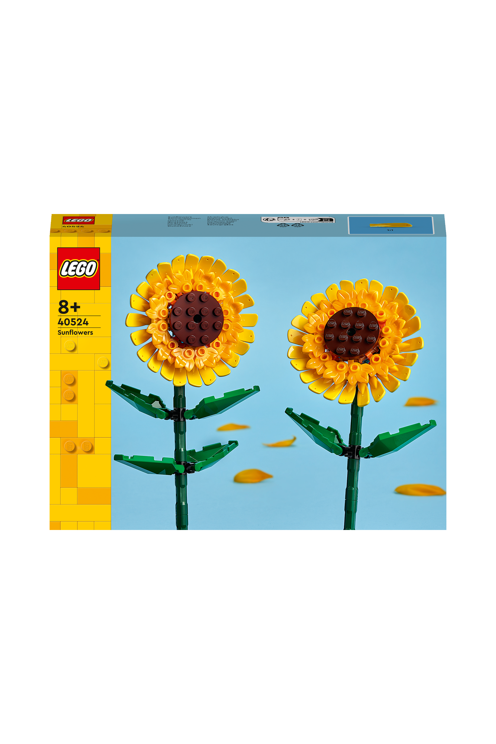 Jeu Multicolore