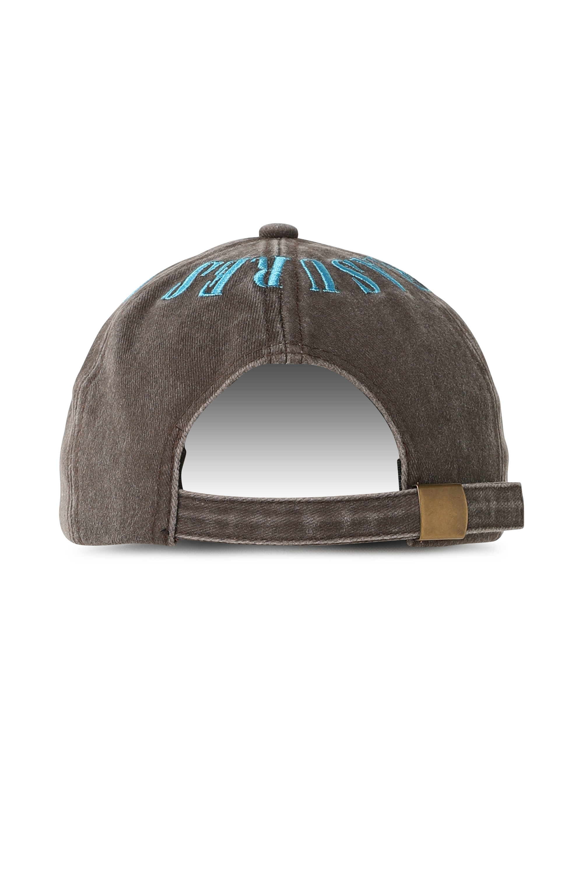Casquette PLEASURES Marron
