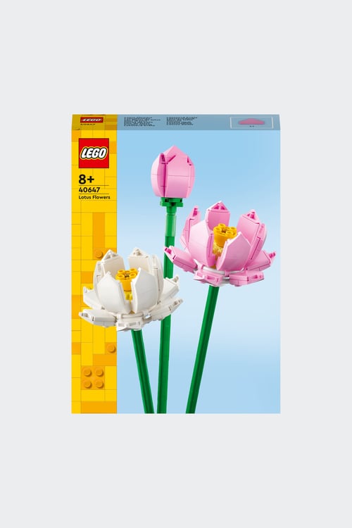 LEGO Jeu Multicolore