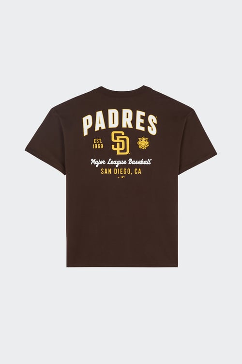 NIKE NFL T-shirt Marron