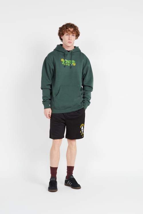 RIPNDIP Hoodie Vert