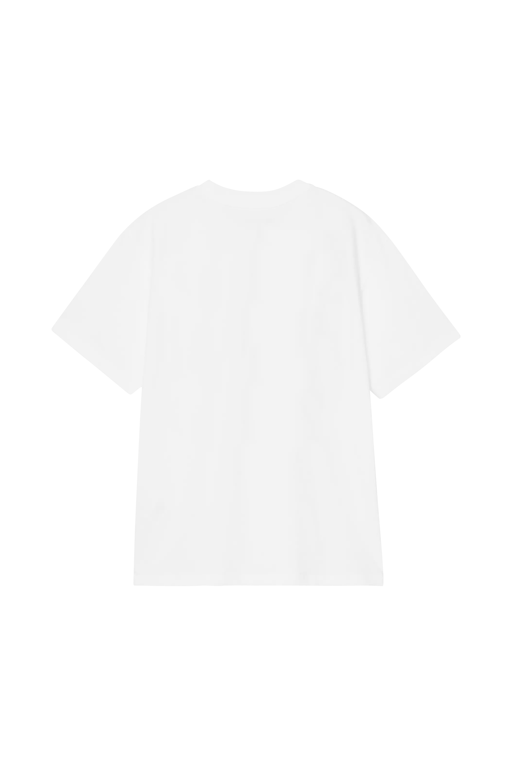 Round neck organic cotton t-shirt | White CARHARTT WIP Women