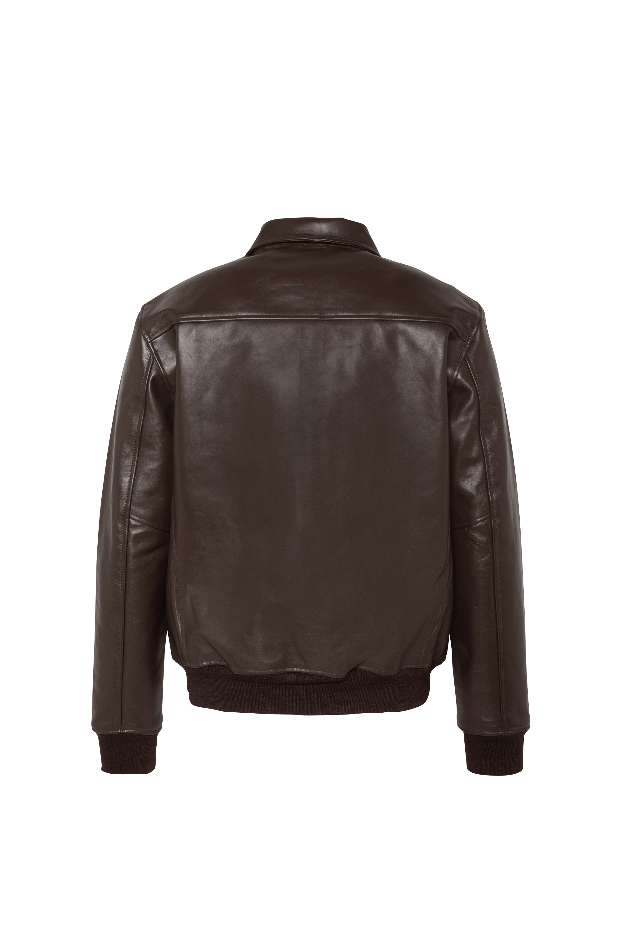 Jacket | Brown SCHOTT Men