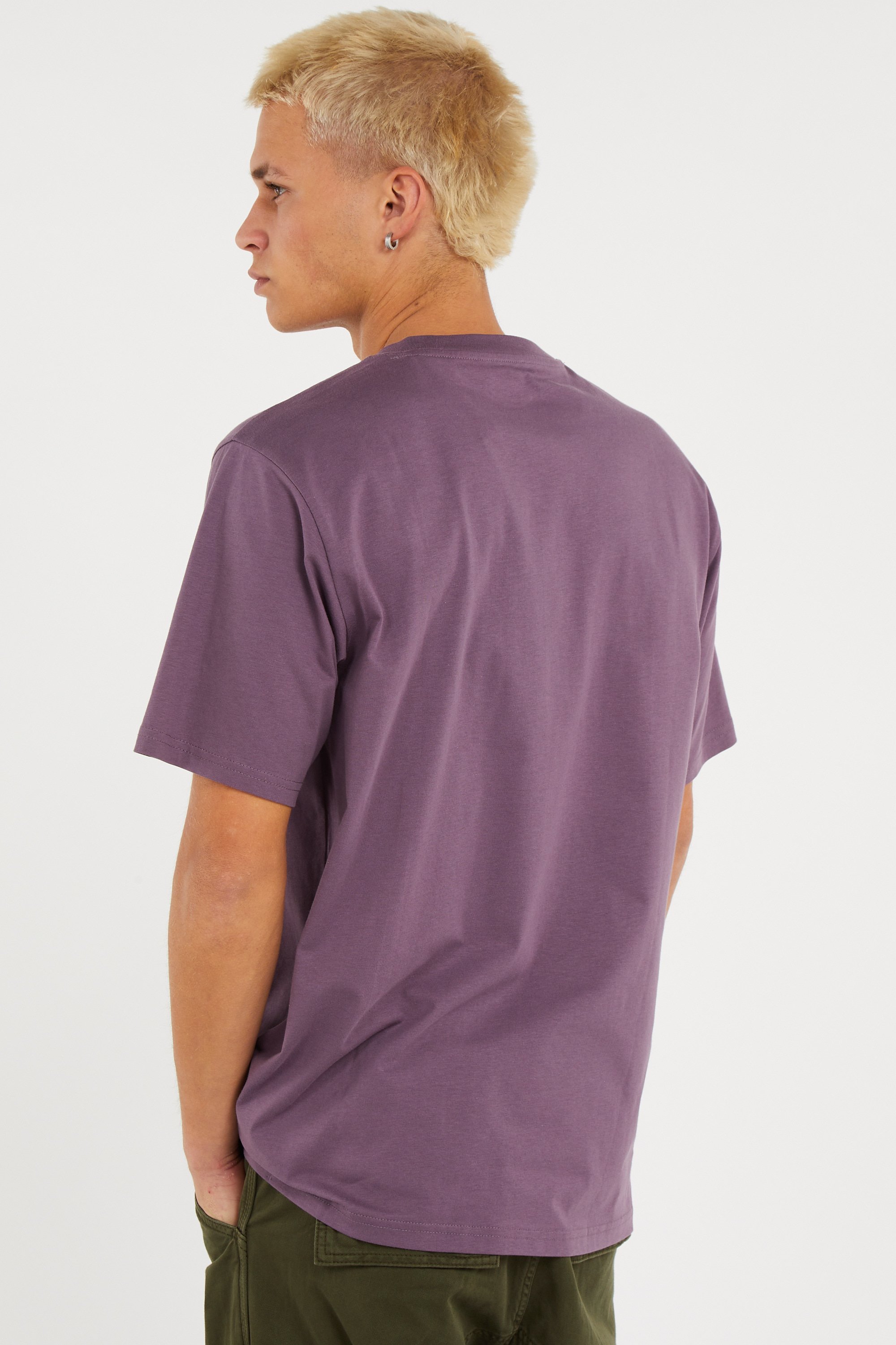 Regular-fit round-neck cotton T-shirt | Purple DICKIES Men