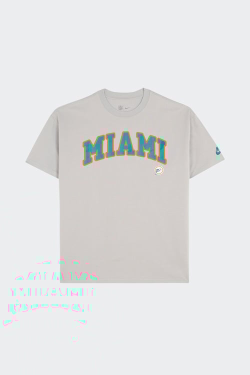 NIKE NFL T-shirt Gris