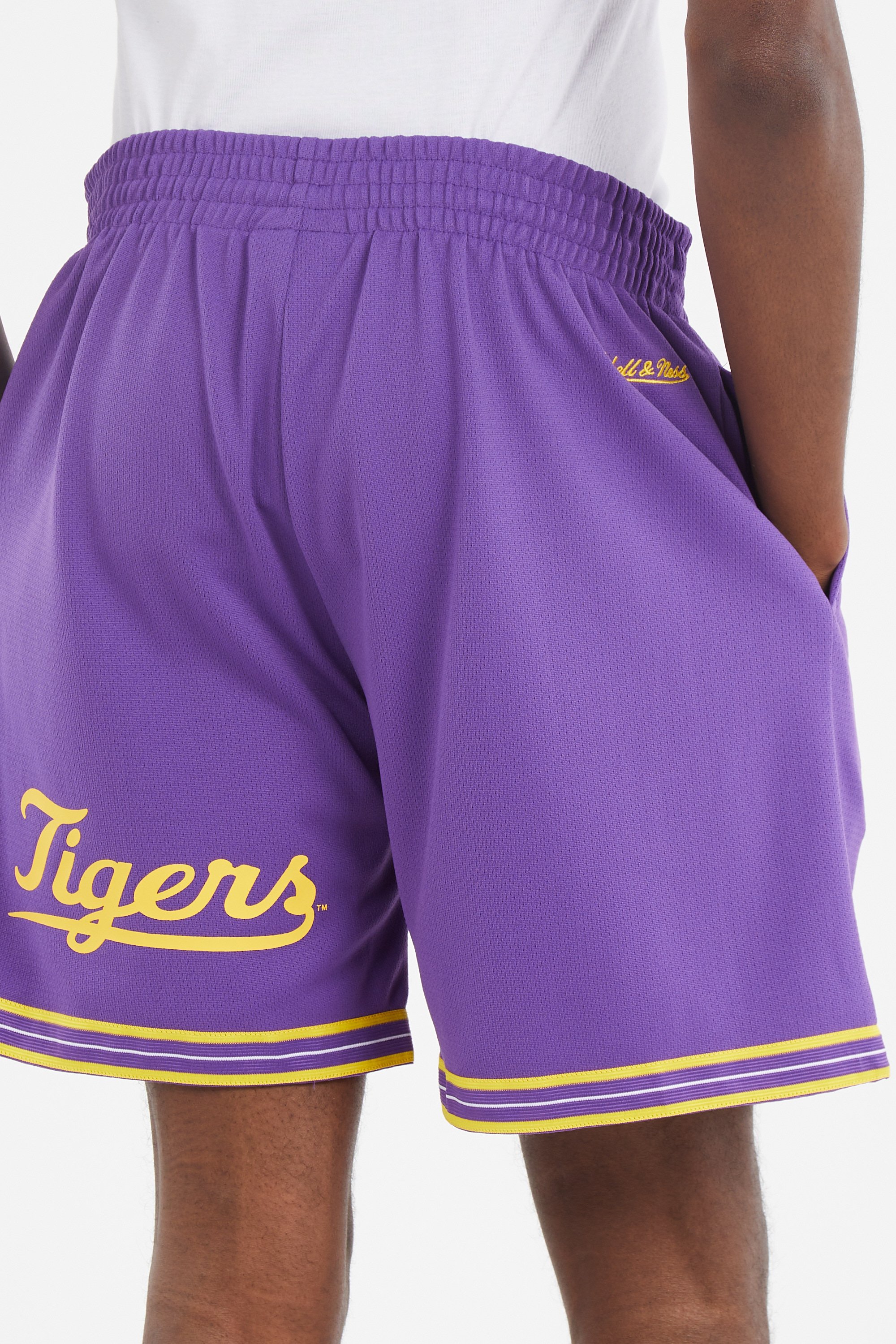 Shorts Purple