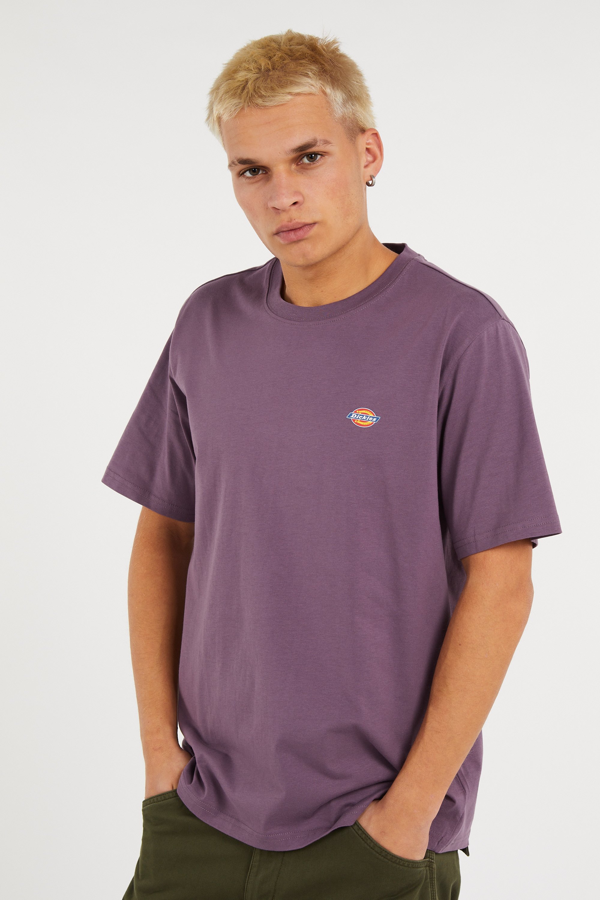 Regular-fit round-neck cotton T-shirt | Purple DICKIES Men