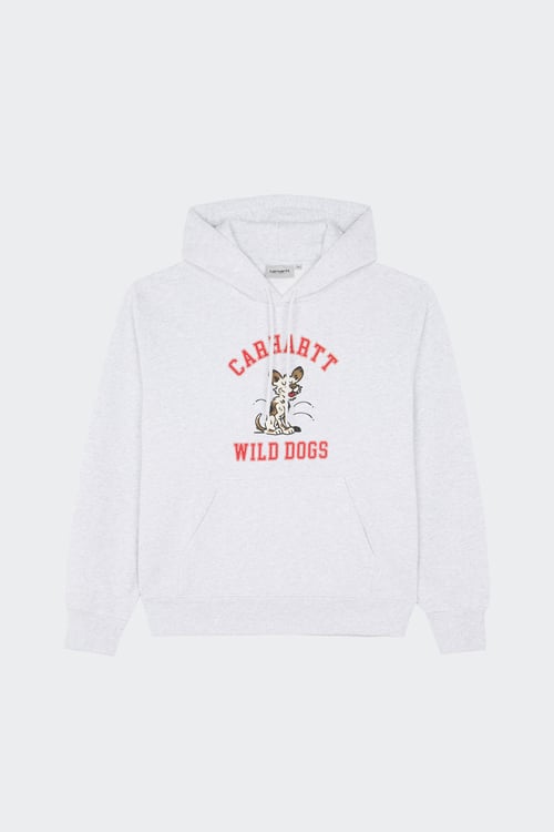CARHARTT WIP Hoodie Gris