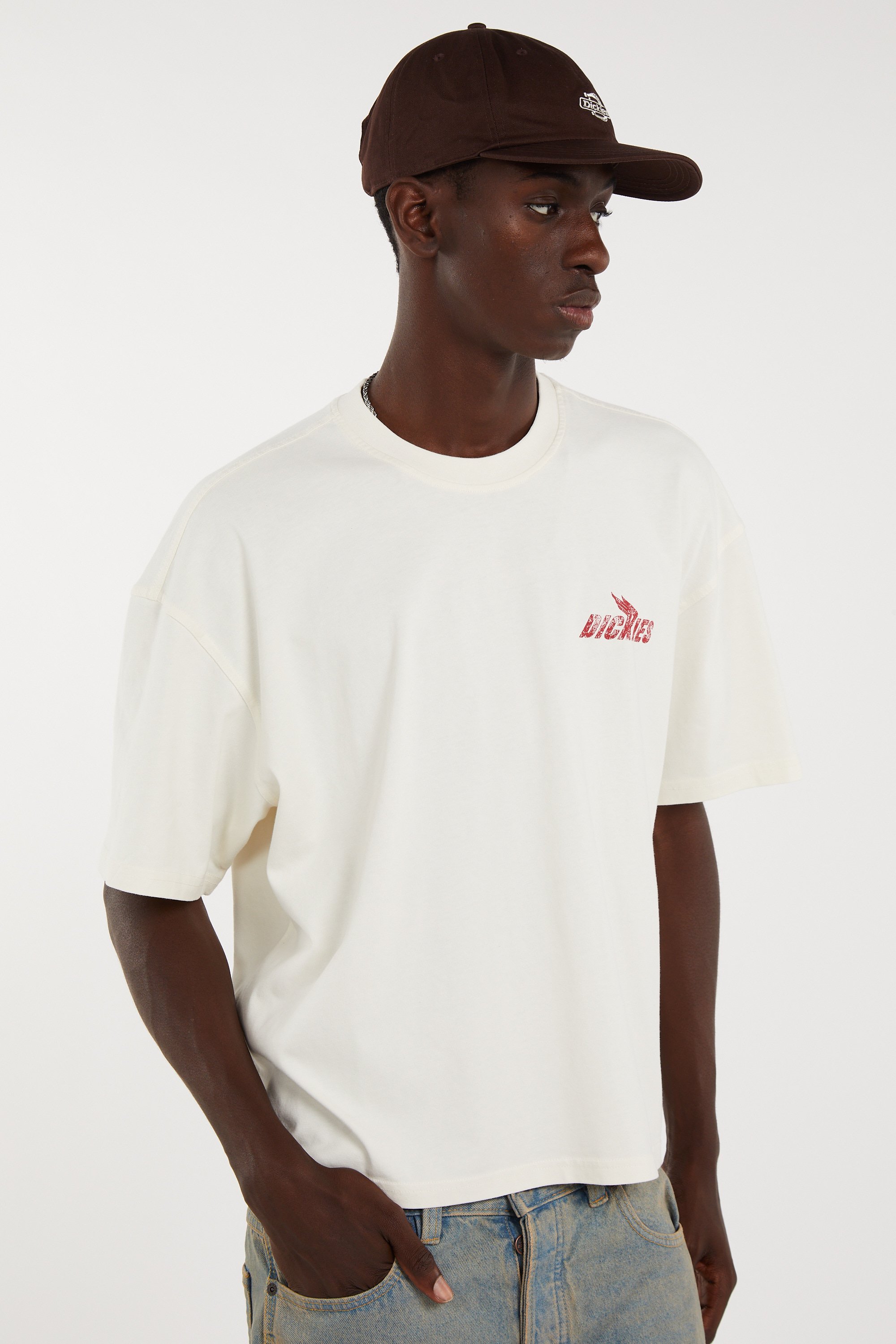 Regular-fit round-neck cotton T-shirt | Beige DICKIES Men
