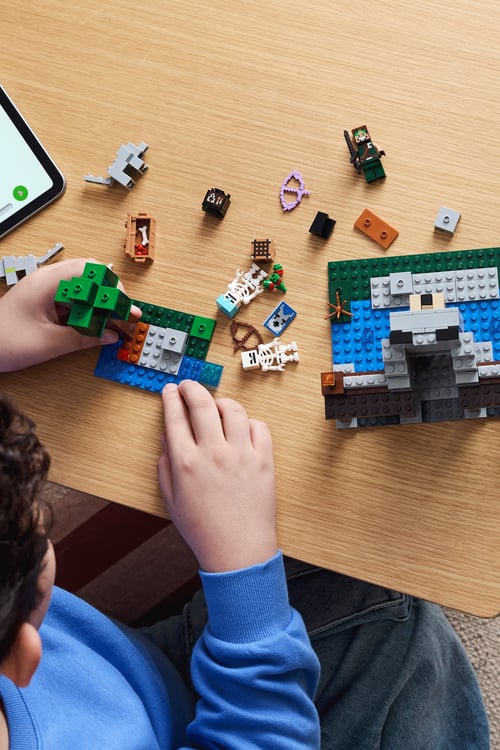LEGO Jeu Multicolore