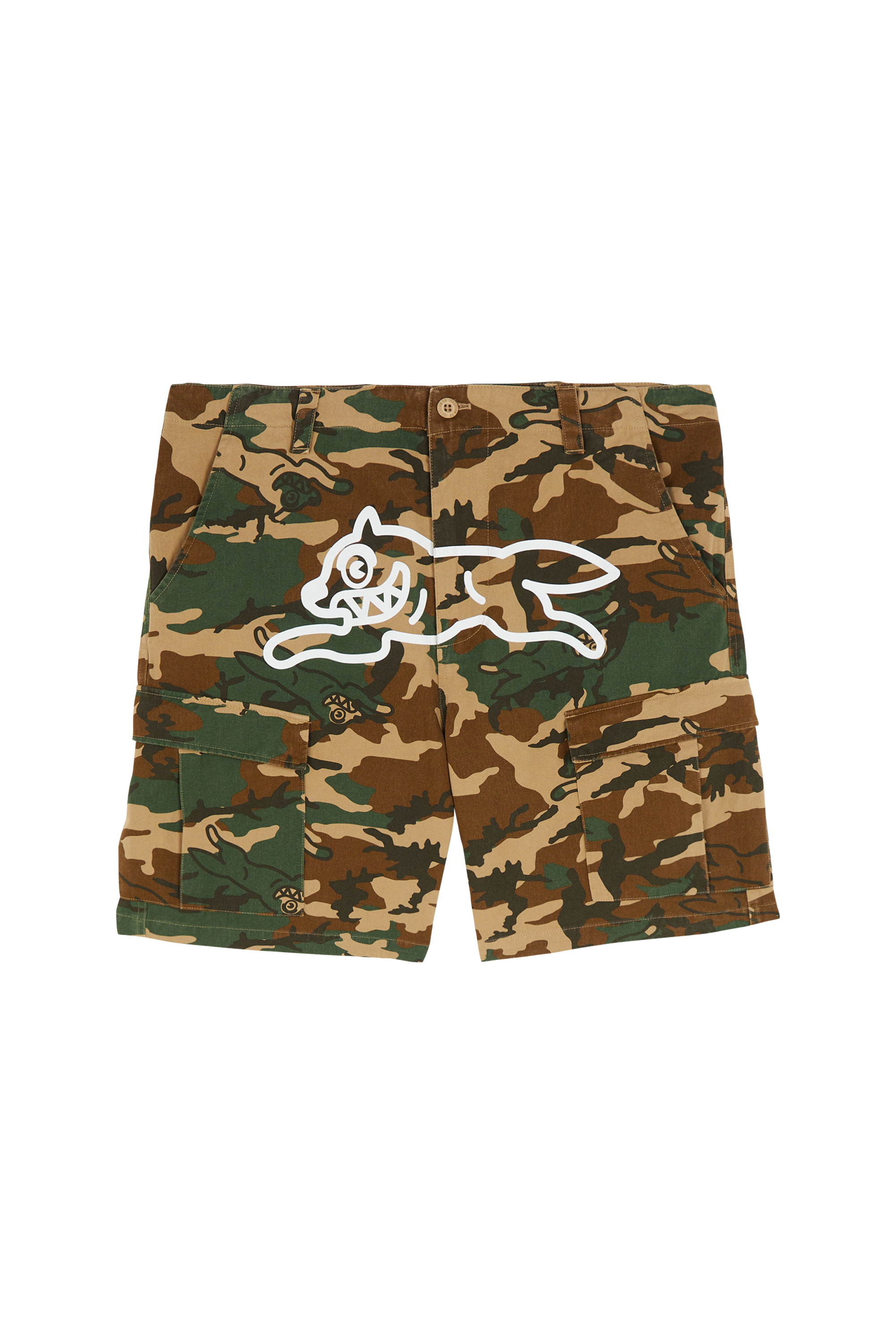Shorts Multicolored