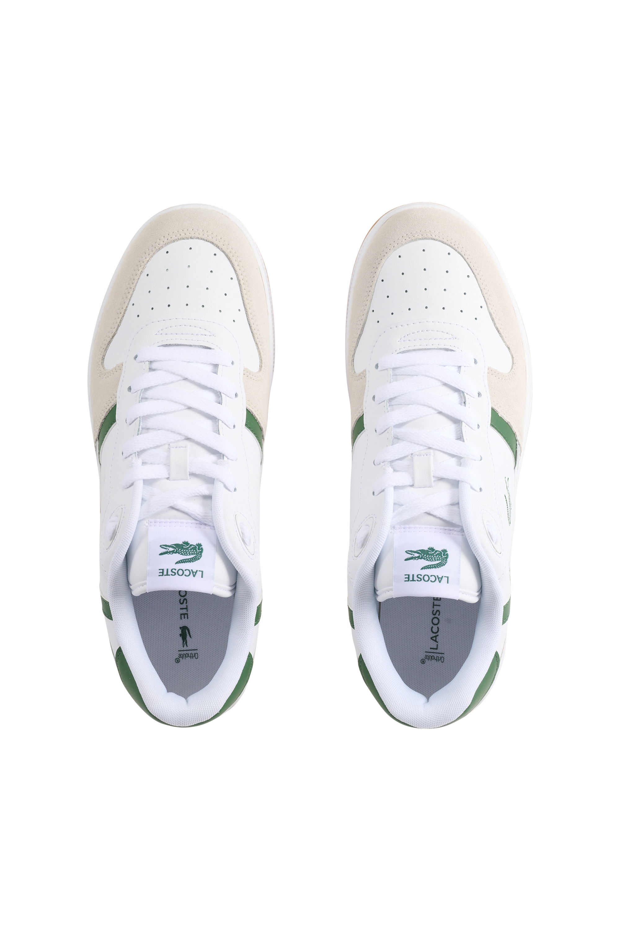 Sneakers | Blanc LACOSTE Homme