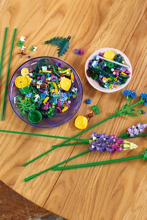 LEGO Jeu Multicolore
