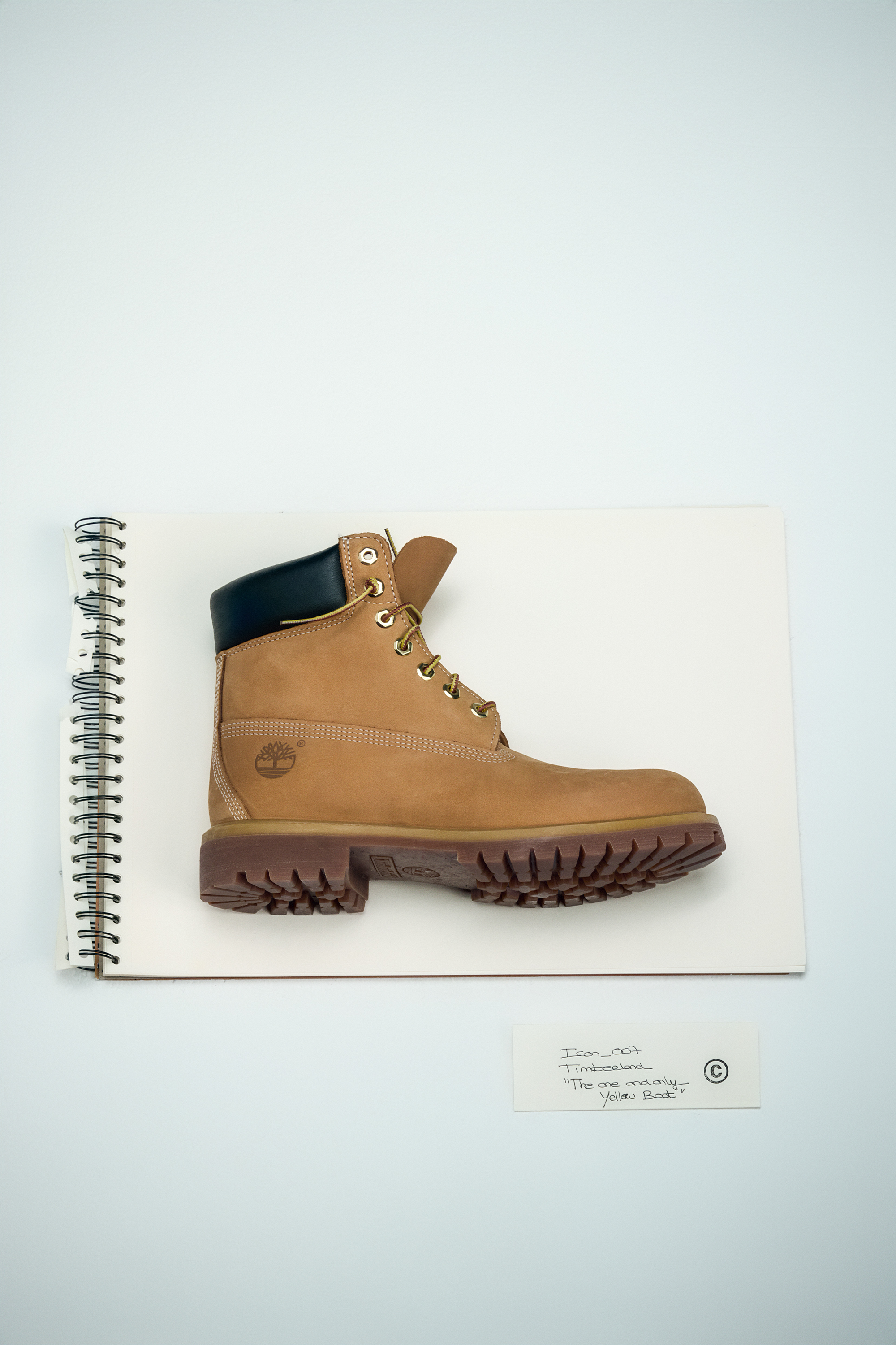 Boots TIMBERLAND Marron