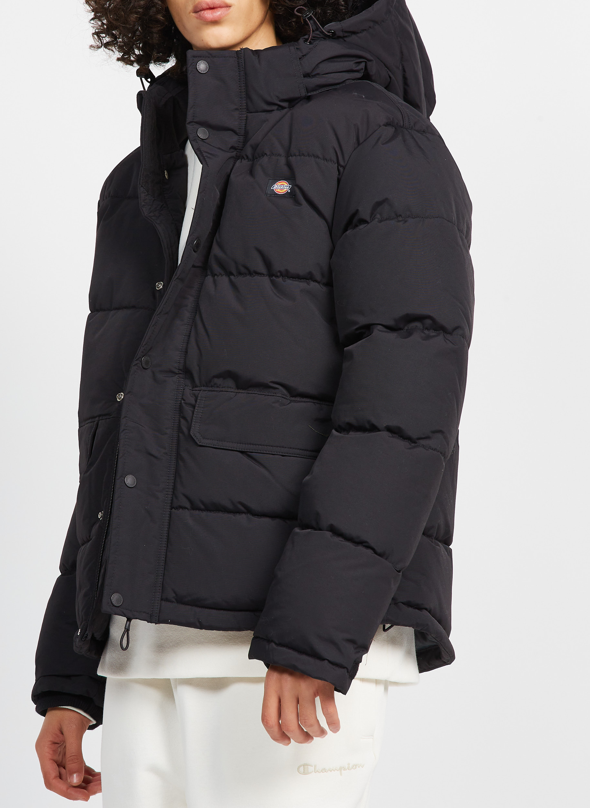 Doudoune | Noir DICKIES Homme