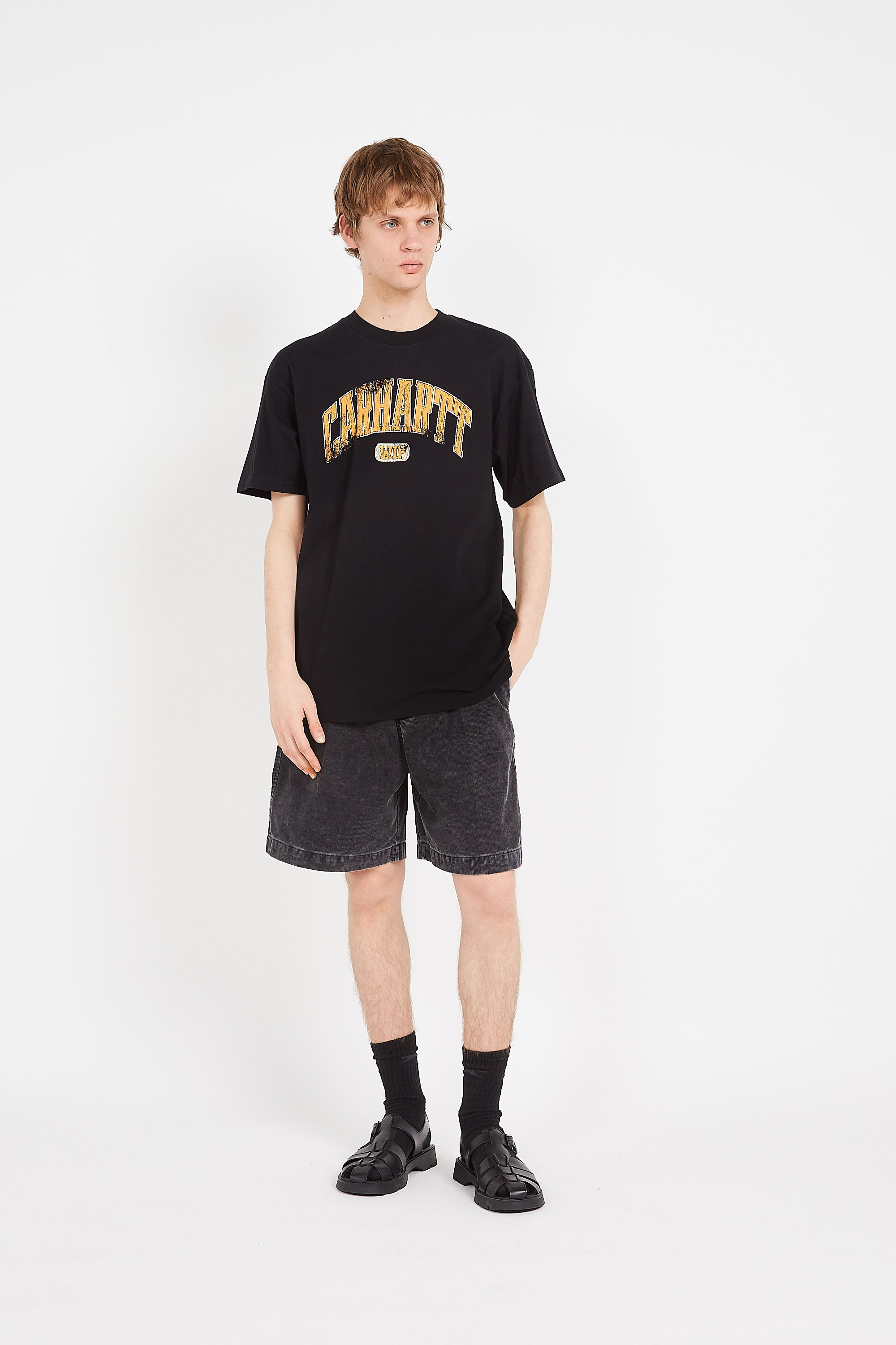 Regular-fit round-neck cotton T-shirt Black