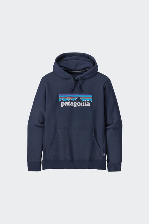 PATAGONIA Hoodie Bleu