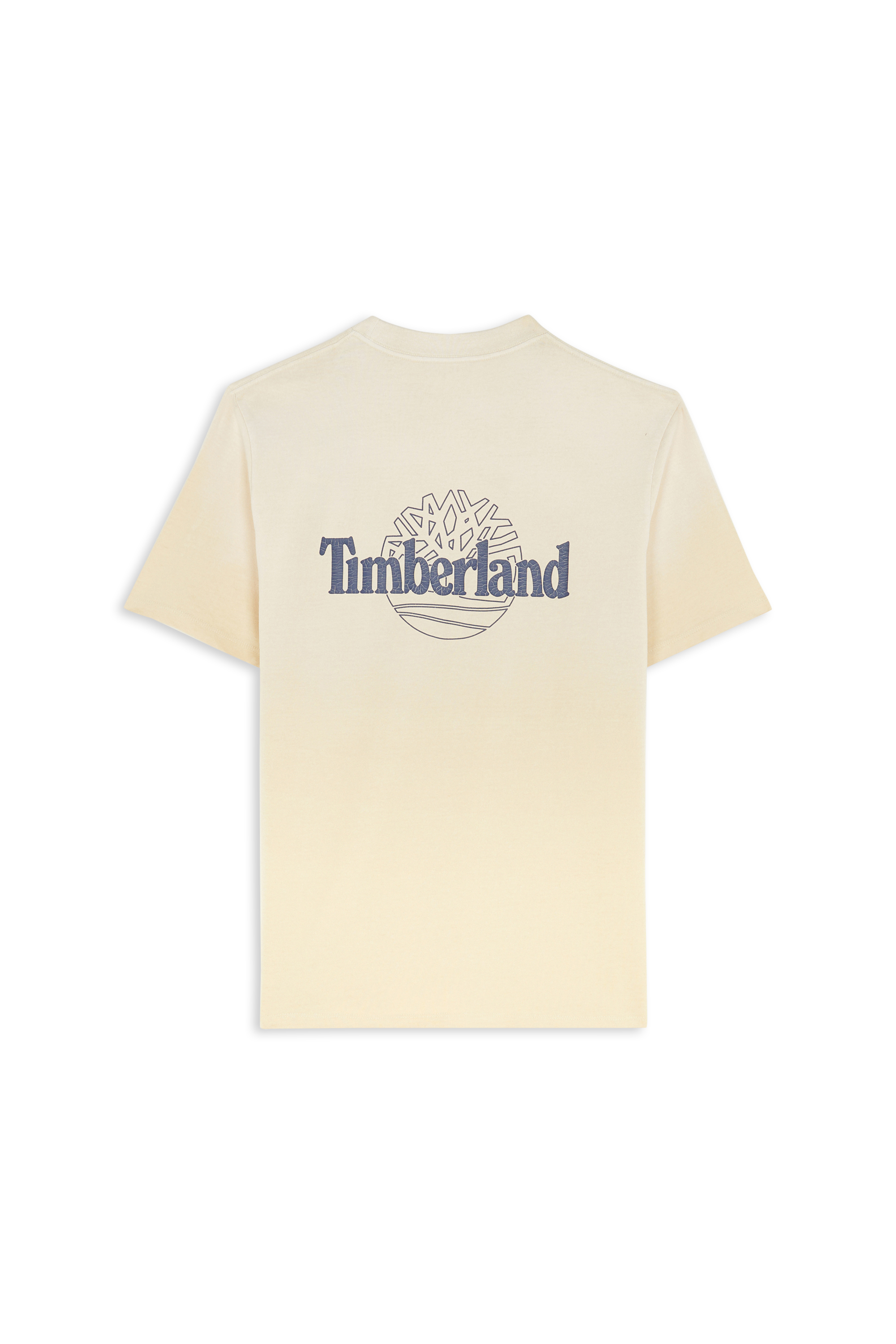 T-shirt TIMBERLAND Beige