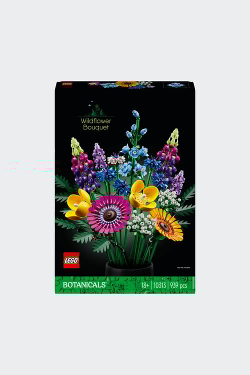 LEGO Jeu Multicolore