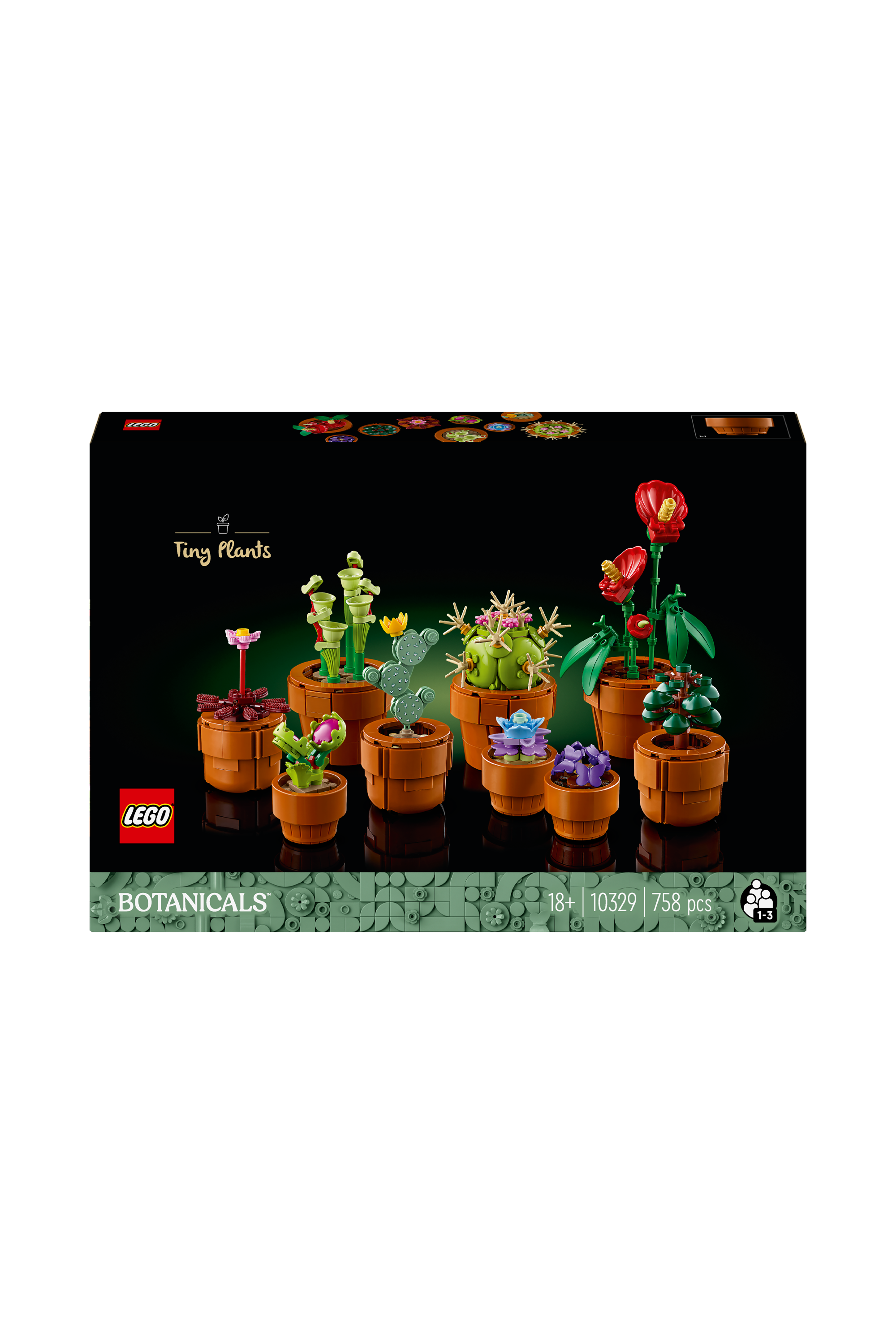 Jeu Multicolore