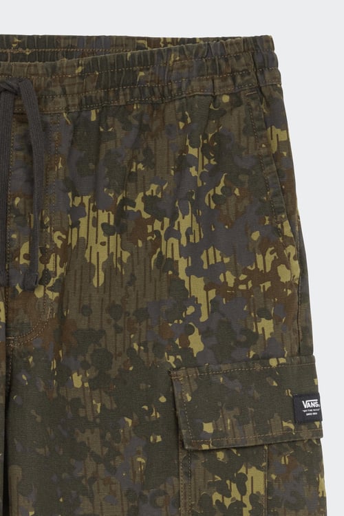 VANS Pantalon cargo Multicolore