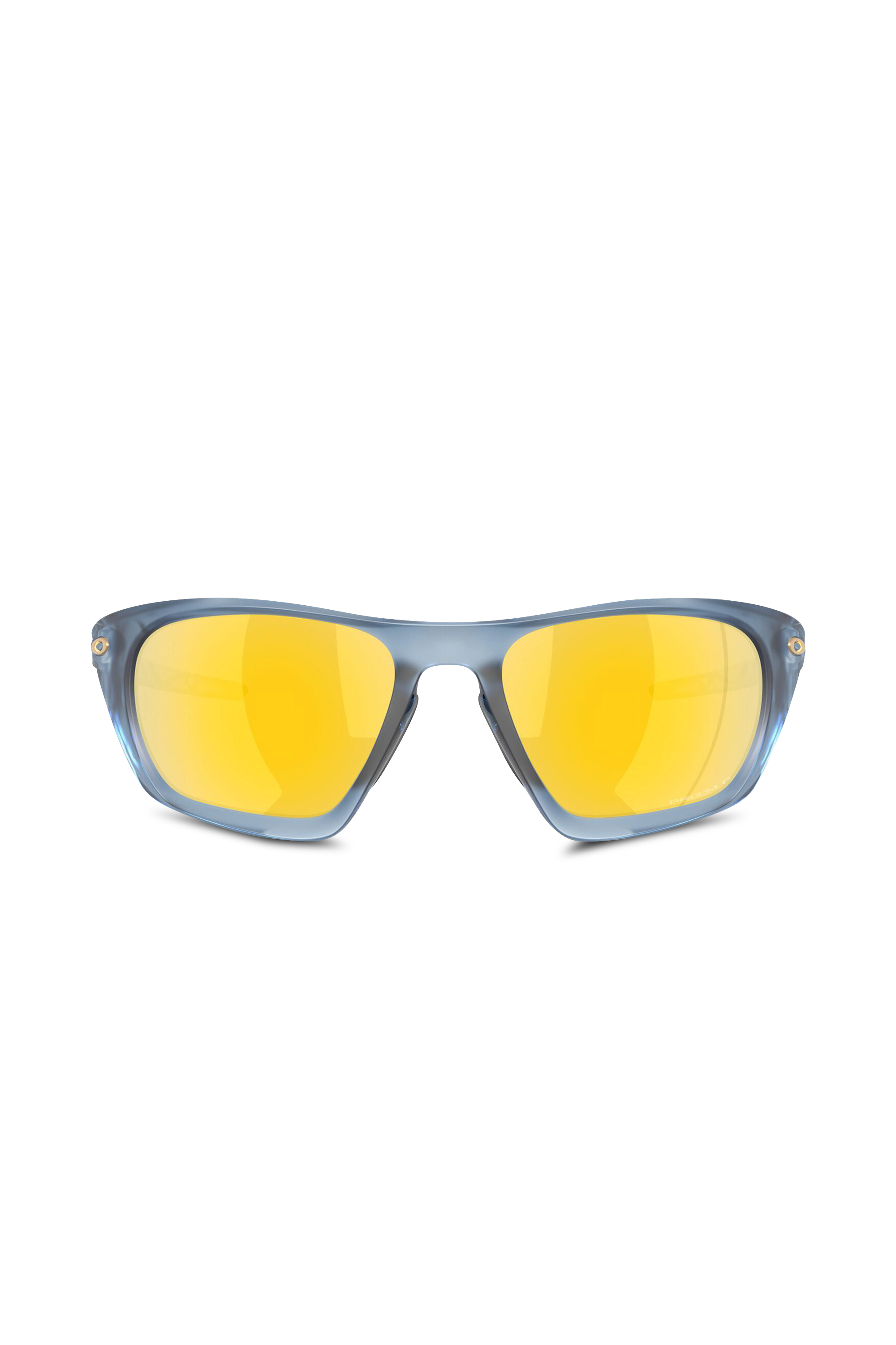 Alumni sunglasses Blue