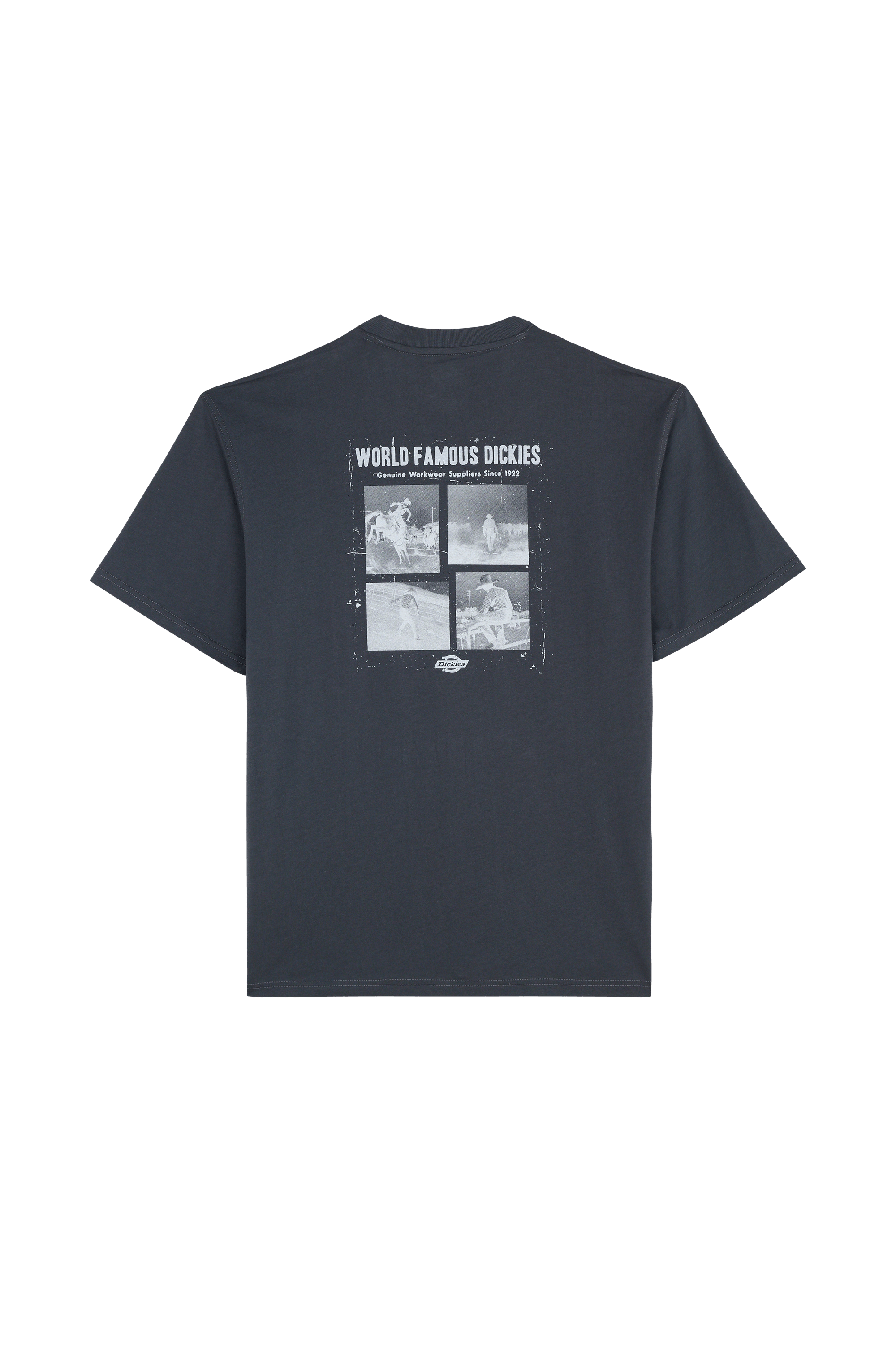 T-shirt DICKIES Gris