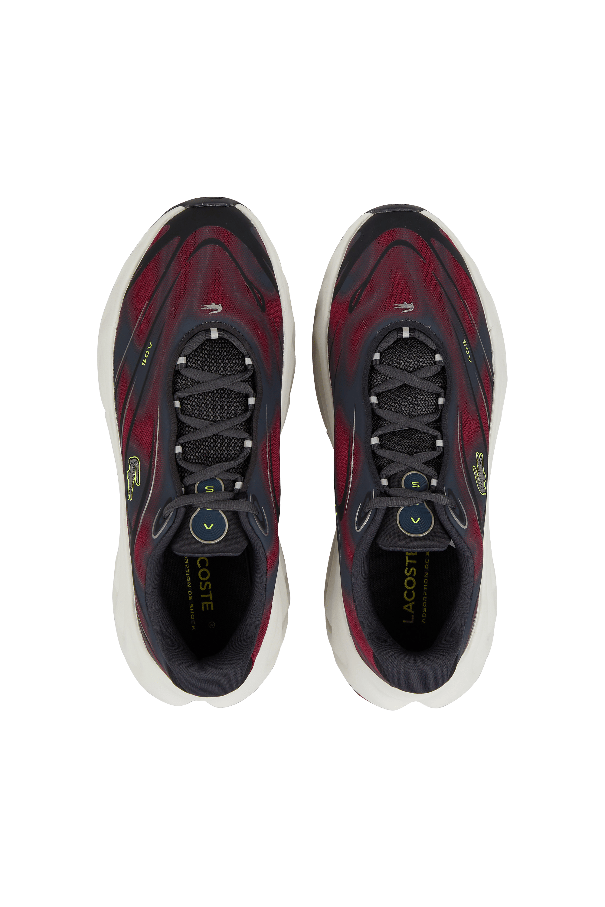 Baskets basses  | Multicolore LACOSTE Homme