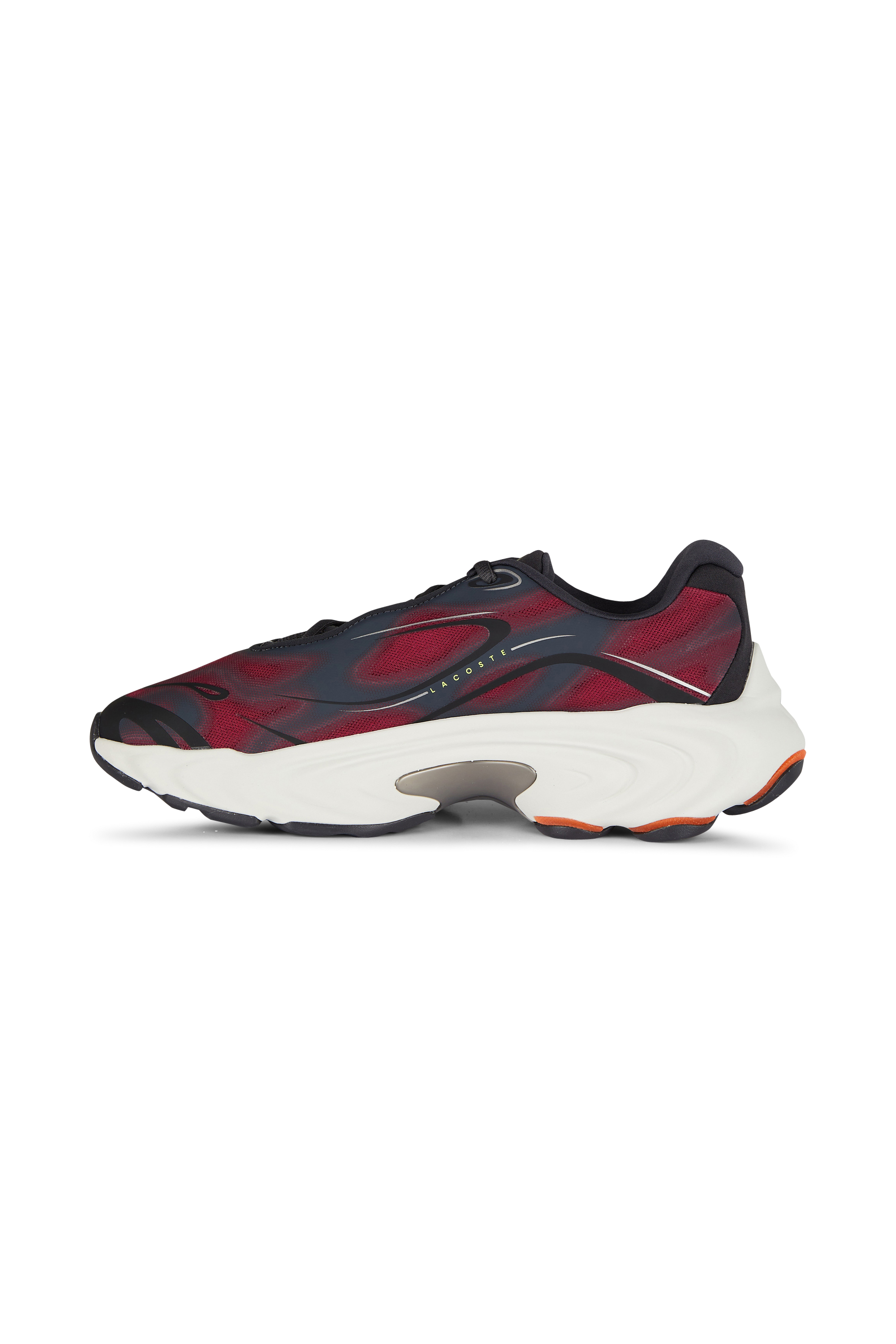 Baskets basses  | Multicolore LACOSTE Homme