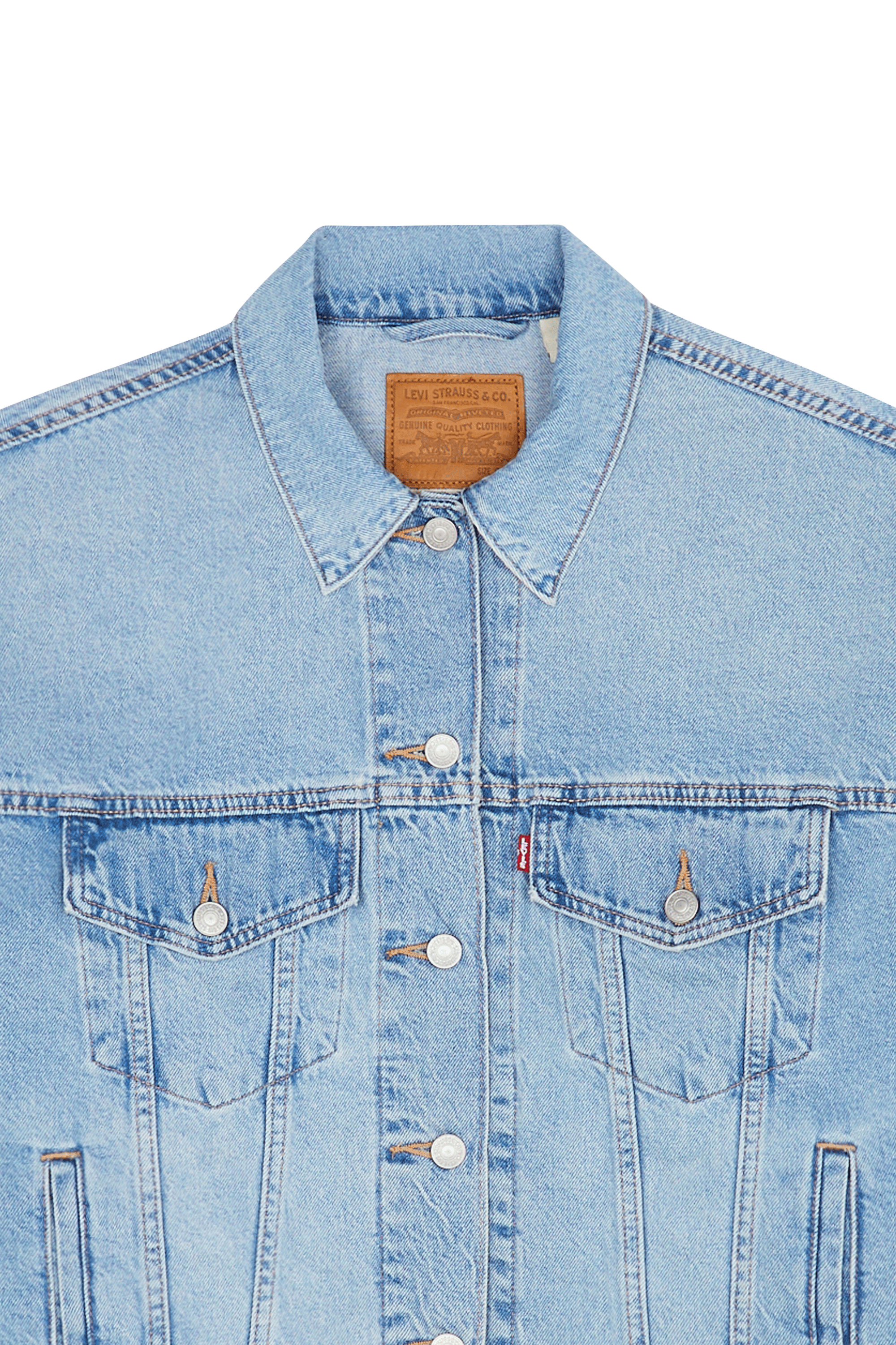 Veste Bleu