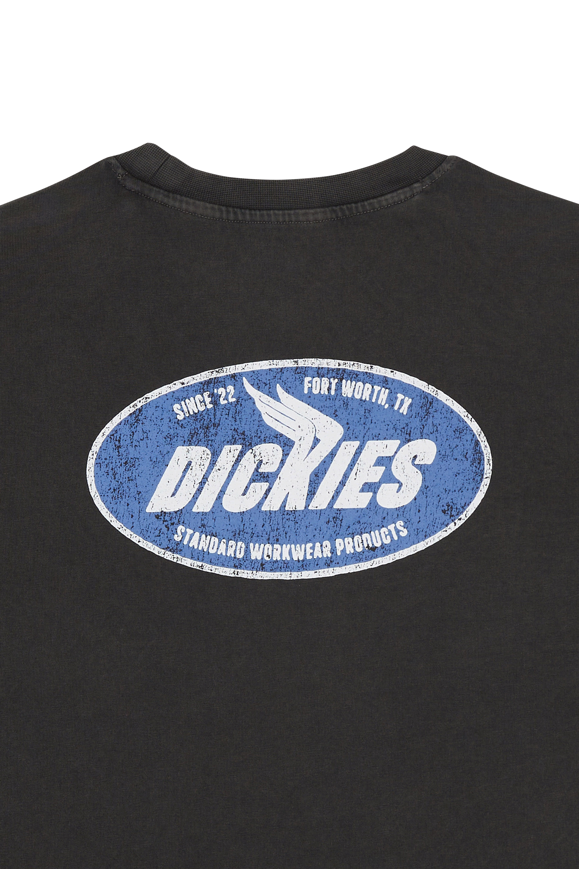 Regular-fit round-neck cotton T-shirt | Black DICKIES Men