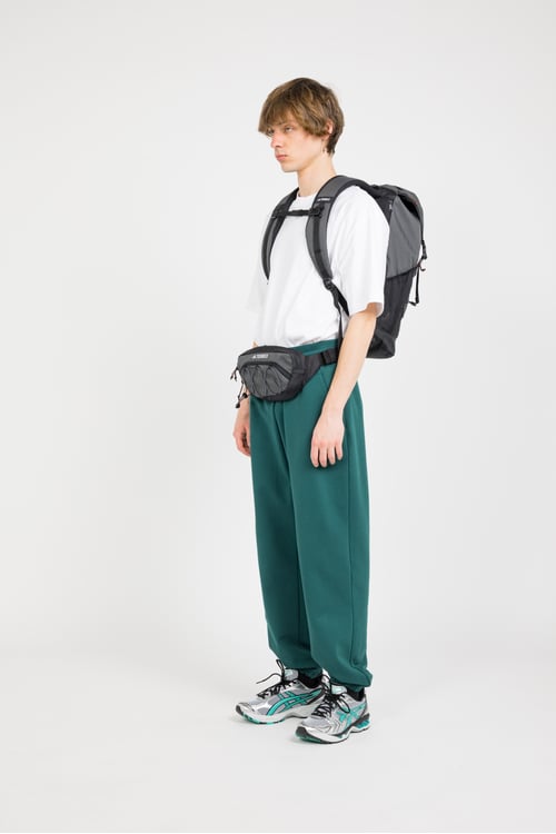 ADIDAS Sac banane Noir