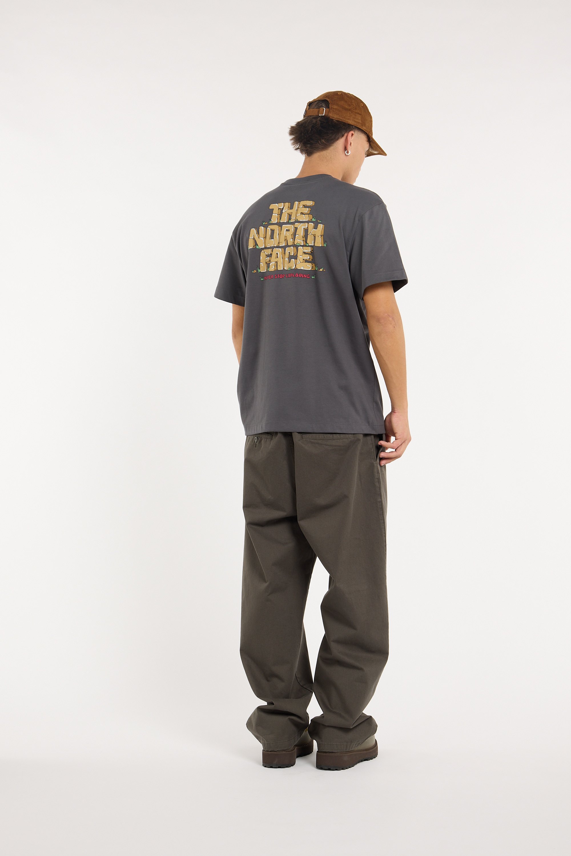 T-shirt | Gris THE NORTH FACE Homme