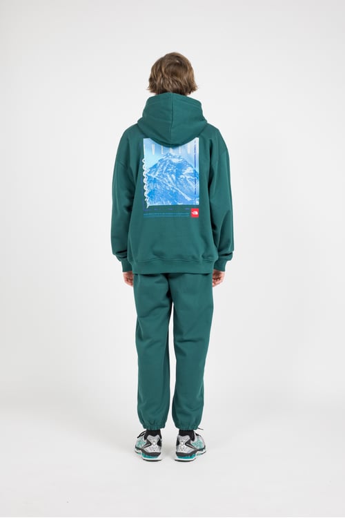THE NORTH FACE Hoodie Vert