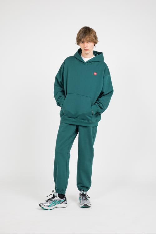 THE NORTH FACE Hoodie Vert