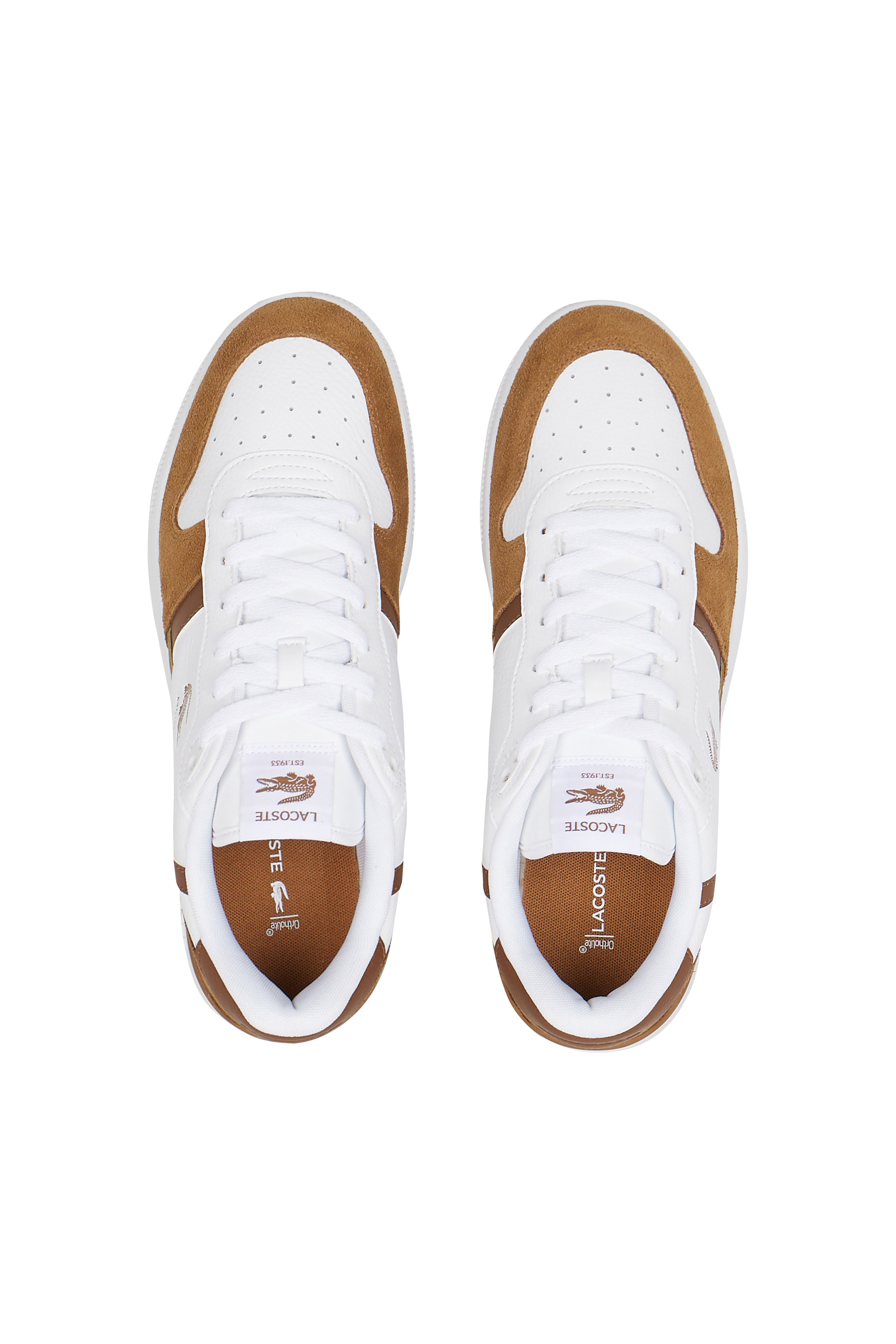 Baskets LACOSTE Marron