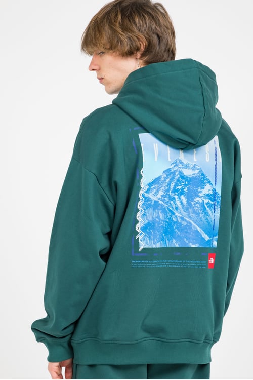THE NORTH FACE Hoodie Vert