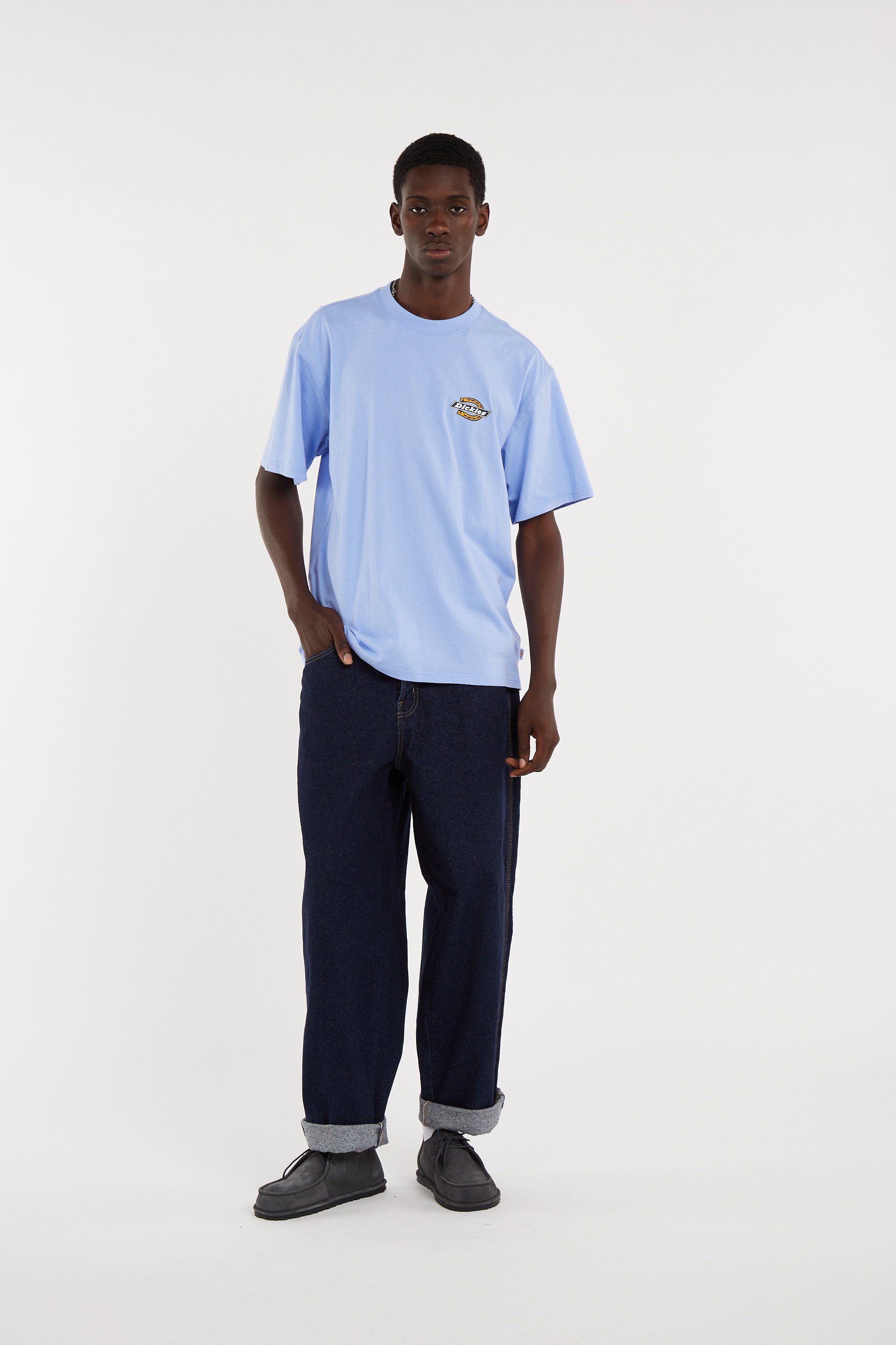Regular-fit round-neck cotton T-shirt DICKIES Purple
