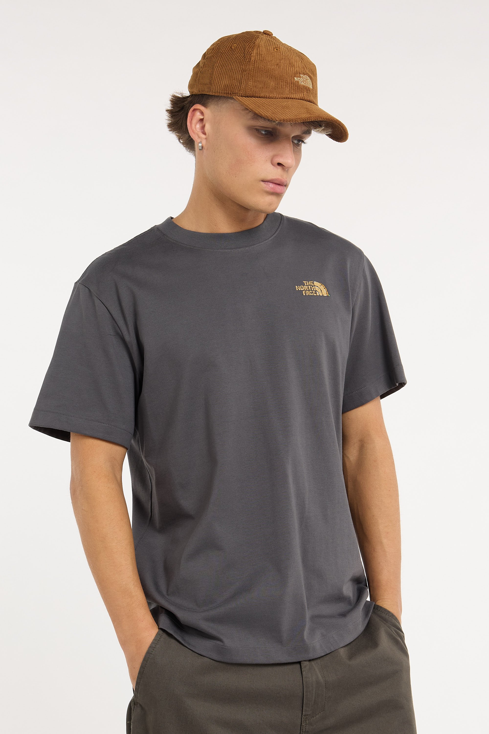 T-shirt | Gris THE NORTH FACE Homme