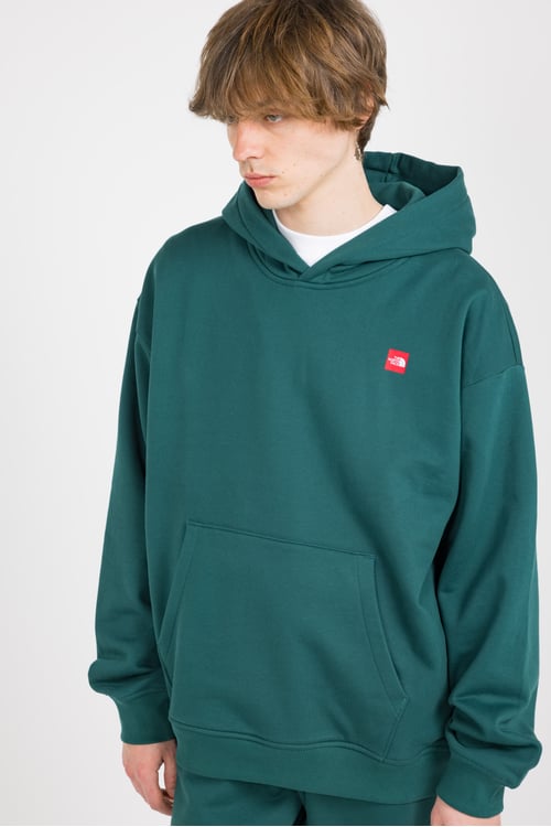 THE NORTH FACE Hoodie Vert