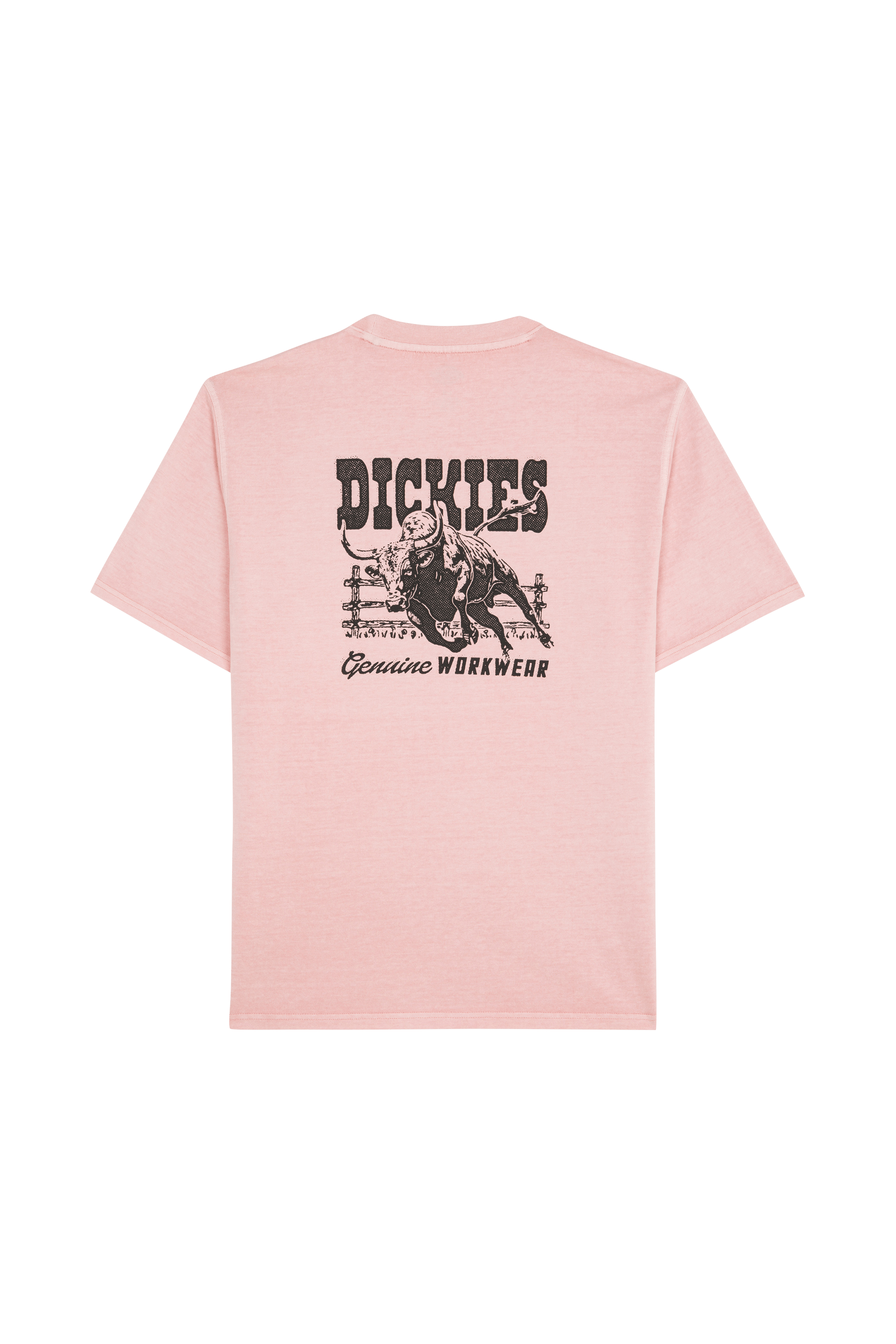 T-shirt DICKIES Rose