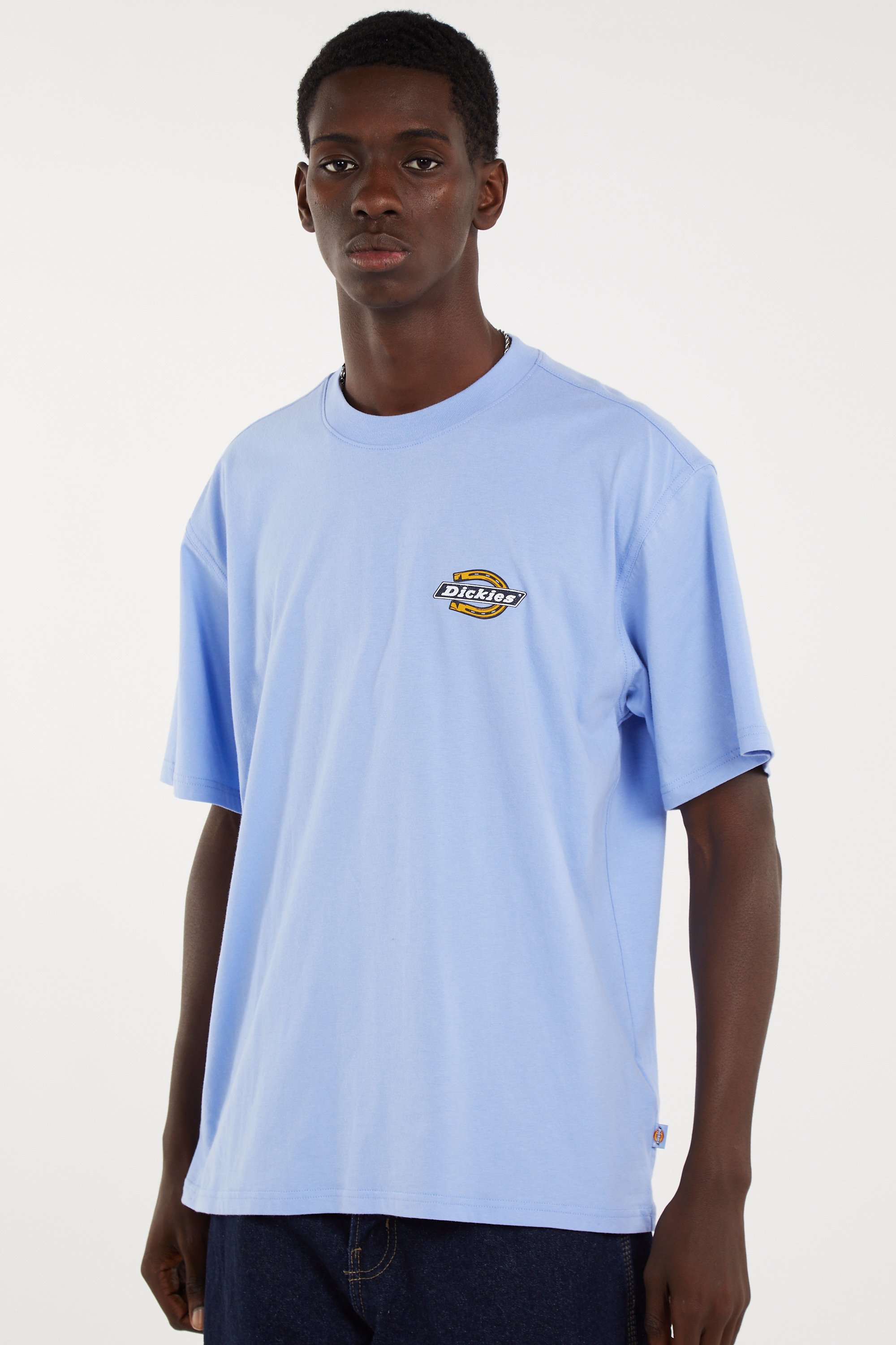 Regular-fit round-neck cotton T-shirt | Purple DICKIES Men