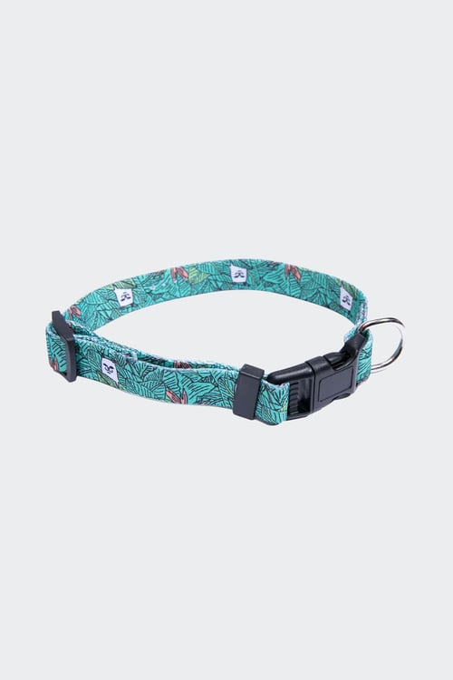 RIPNDIP Collier pour chien Vert