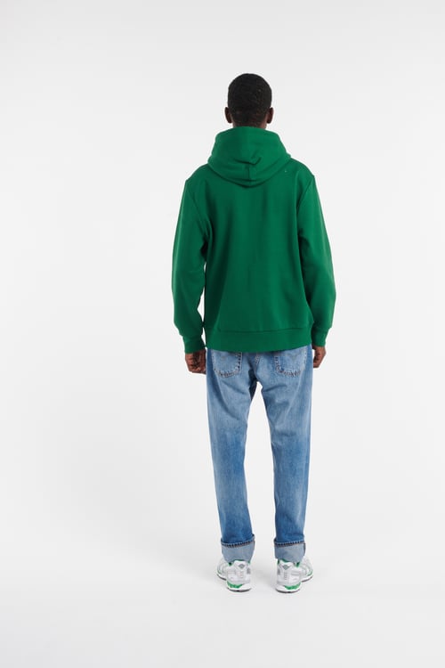 POLO RALPH LAUREN Hoodie Vert