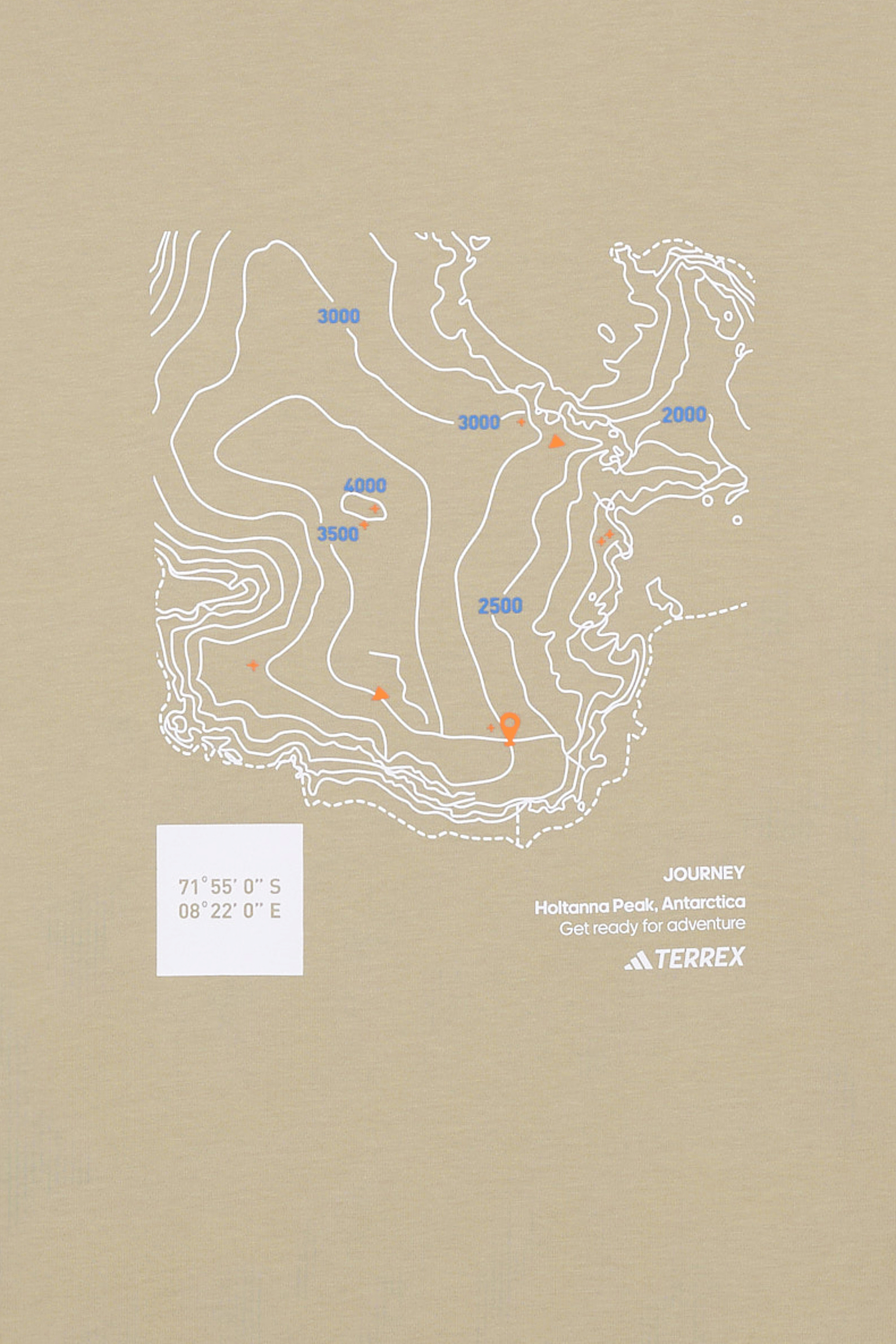 Regular-fit round-neck cotton T-shirt Khaki