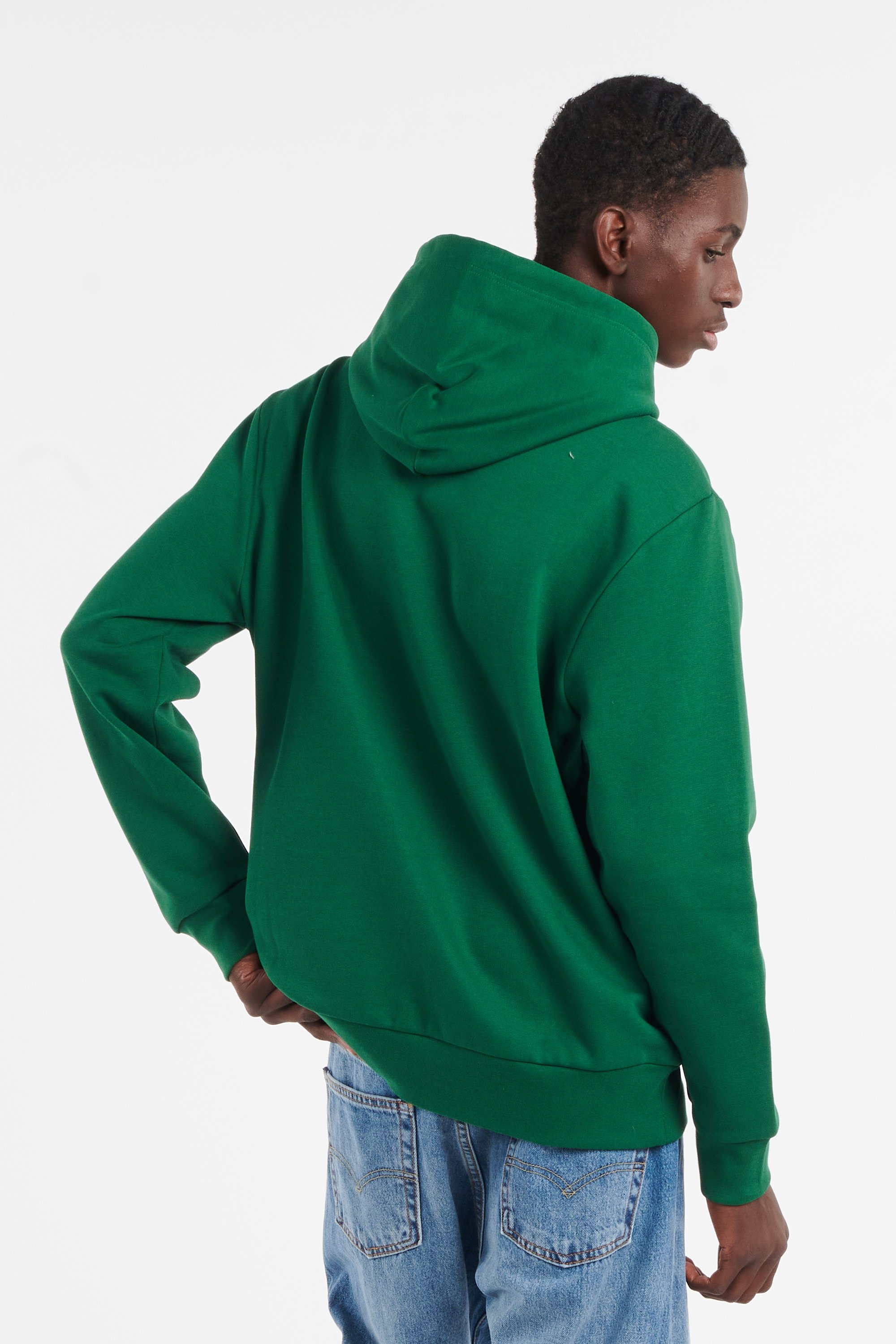 POLO RALPH LAUREN Hoodie Vert