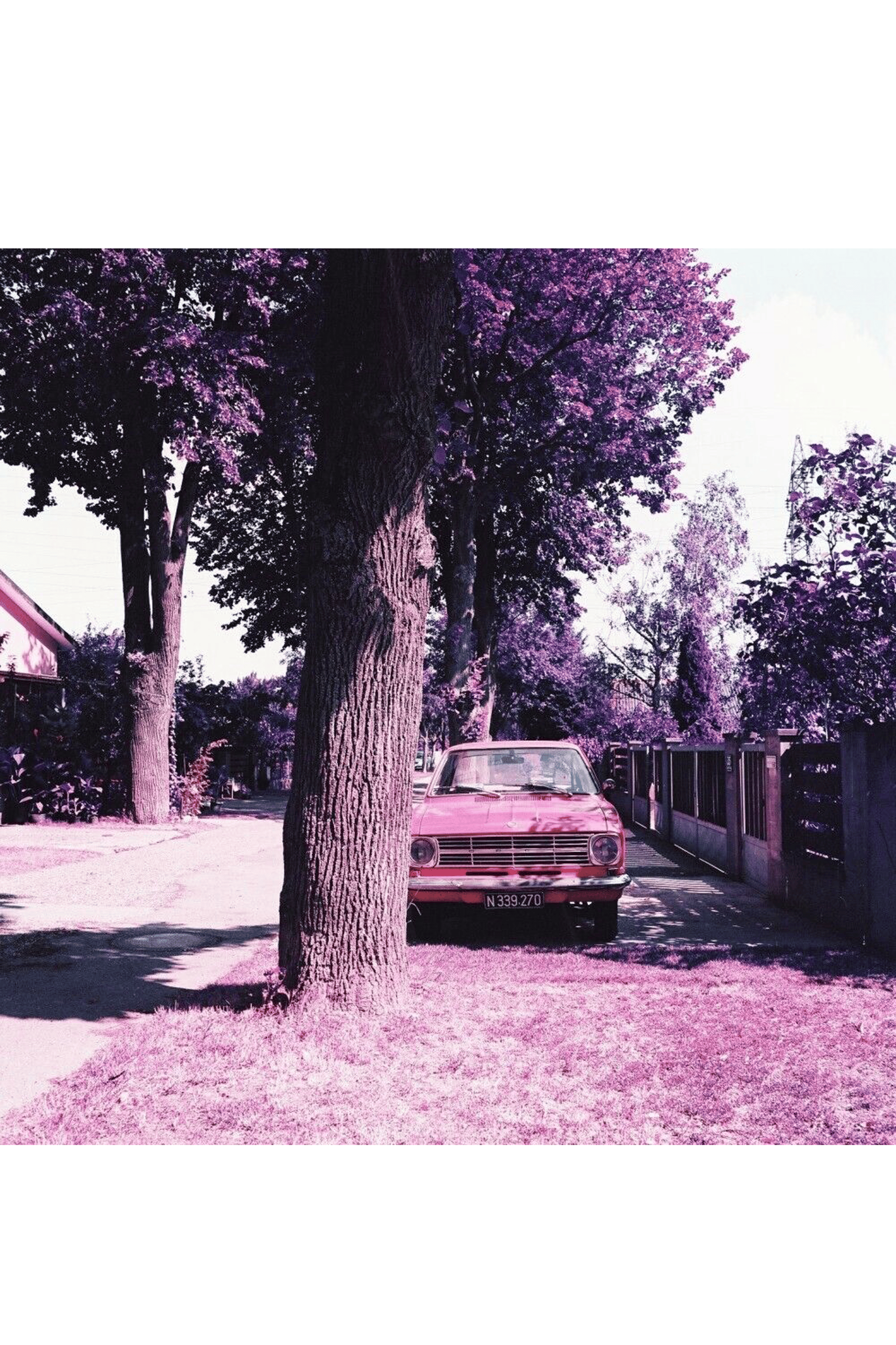films négatifs | Multicolore LOMOGRAPHY Femme